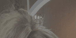 L.D Beauty- (Brow Queen) logo