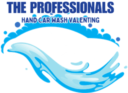 The professional carvaleting centre logo