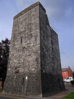 Maudlin Castle logo