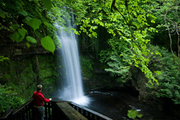 Glencar Waterfall logo