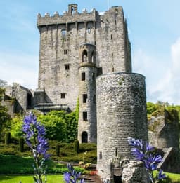 Blarney Castle House (Teach Caisleán na Blarnan) logo