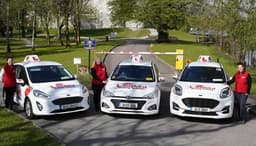 Ladybird Driving School Kerry logo
