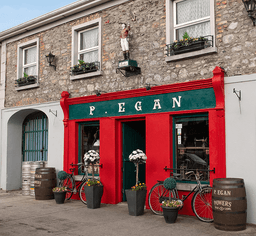 P.EGAN Bar logo