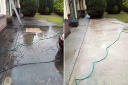 South East Steam Cleaning and Tree Care | Pressure Washing logo