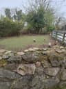 Birds Cottage
