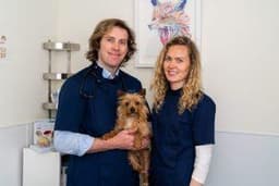 Fox Veterinary Clinic logo