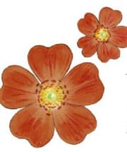 The Donegal Natural Soap Company logo