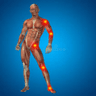 Sligo Sports Injury & Massage
