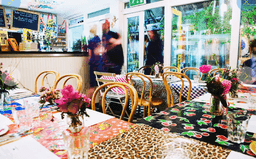 The Cake Cafe logo