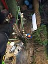 Crown Tree Services