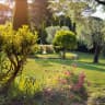 1st choice garden & treecare