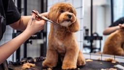 Muttugly Dog Grooming logo