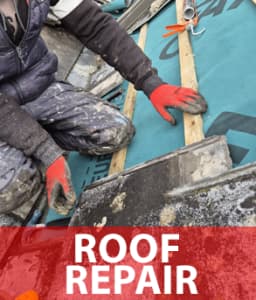 Roofer Roofing & Guttering Fairview logo