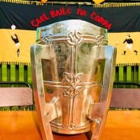 Ballinacurra Gaels GAA Club logo