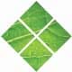 Charter Medical logo