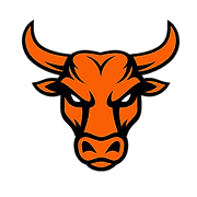 No Bull Gym logo