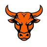 No Bull Gym