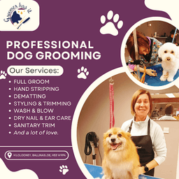 Groomer Has It - Diane Dolan logo