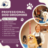 Groomer Has It - Diane Dolan