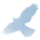 Breath of Life logo