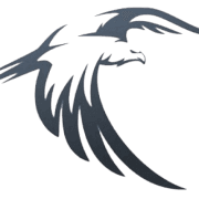 Eagle paving & Landscape logo