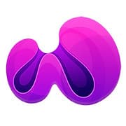 Webfizz logo