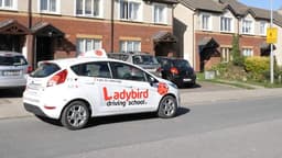 Ladybird Driving School Portarlington logo