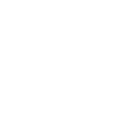 Fifty shades of brows logo