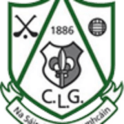 Lucan Sarsfields GAA Club logo