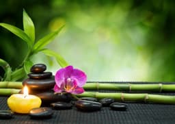 MAC Complementary Health Clinic | Holistic Therapies & Training logo