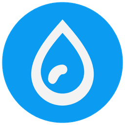 The Window Washers logo