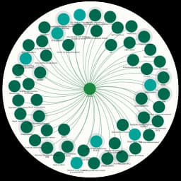 Dóchas - the Irish Association of Non-Governmental Development Organisations logo