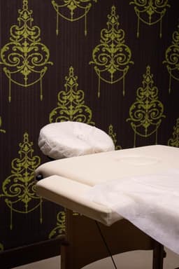 Massage Therapist logo