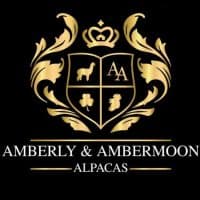 Amberly Alpacas Northern Ireland logo