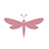 Caroline Duffy Designs logo