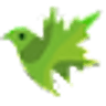 Grow Hub Ireland