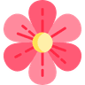 Julie's Flowers