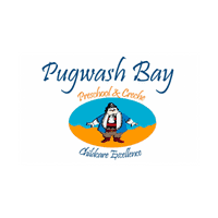 Precision Cleaning logo
