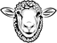Black Sheep Events logo