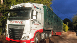 Ted Neville Haulage Ltd logo