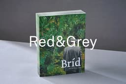 Red&Grey logo
