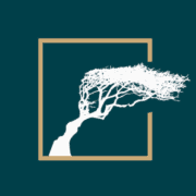 The Hawthorn by Galway Bay logo