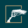 The Hawthorn by Galway Bay