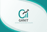 Ganit Accounting and Business Consulting - Dublin