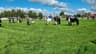 Roscommon Industrial & Agricultural Show Society