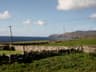 Williams & Walsh Agri Ltd Agricultural Consultants