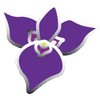 Iris Hand & Foot Spa logo