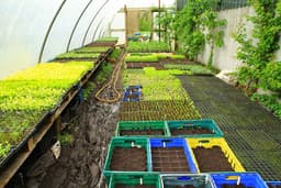 Lough Boora Farm logo