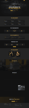 The Iron Kingdom Gym