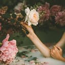 Juliet Rose beauty studio